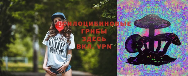 тгк Алексеевка