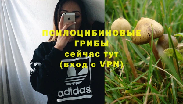 молекула духа Абинск