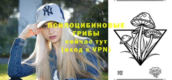 гидра Абдулино