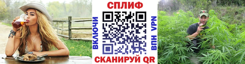 МАРИХУАНА SATIVA & INDICA Ессентукская